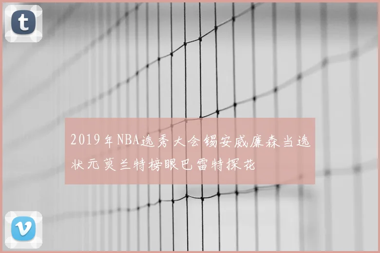 2019年NBA选秀大会锡安威廉森当选状元莫兰特榜眼巴雷特探花