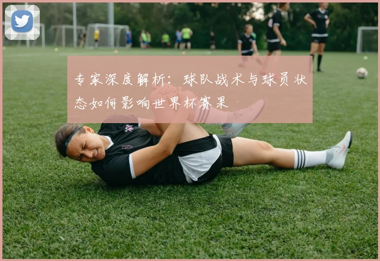 专家深度解析：球队战术与球员状态如何影响世界杯赛果