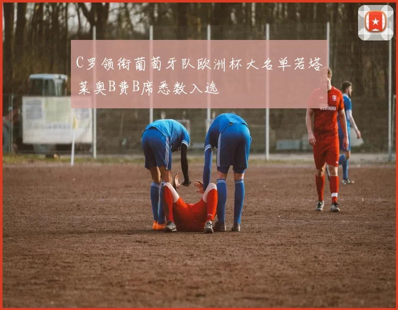 C罗领衔葡萄牙队欧洲杯大名单若塔莱奥B费B席悉数入选